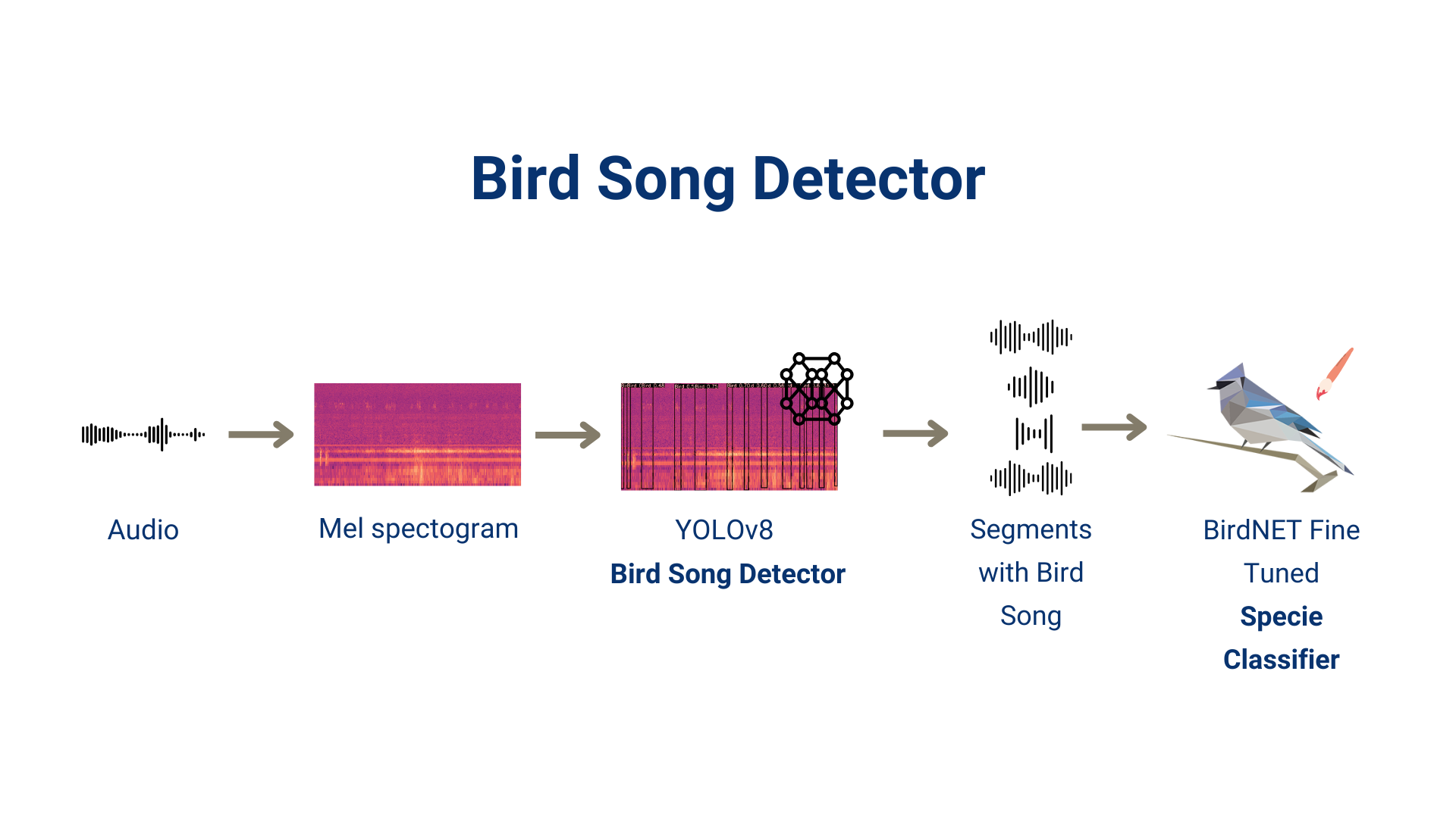 Bird Song Detector Pipeline